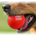 Іграшка для собак WAUDOG Fun Red Ball, спінений термопластичний поліуретан, 70мм