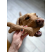 Іграшка для собак Ріг жувальний GiGwi Wooden Antler, дерево, полімер, L 24 см