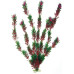 Рослина Flora Classic MD штучна, 17см - А8011183