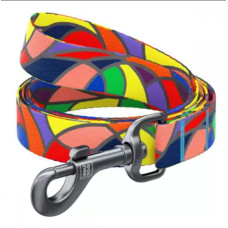 Повідець WAUDOG Nylon, малюнок "Вітраж" 15 мм 122 см різнокольоровий (4593)