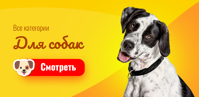 Все для собак