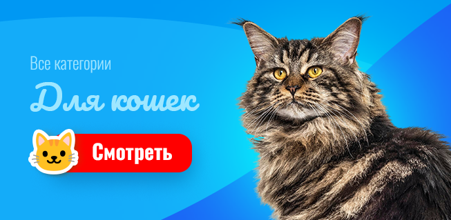 Все для котов