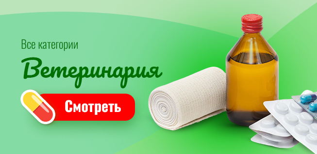 Ветеринария