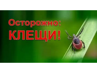 Обережено клещи!!